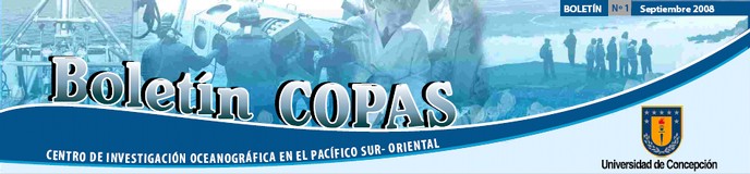 Boletin COPAS
