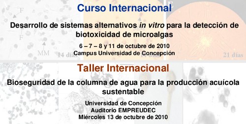 Taller y Curso Internacional