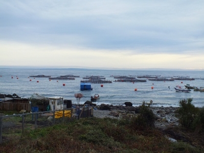 COPAS Sur-Austral