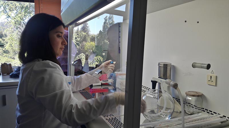 OCHO CENTROS DE EXCELENCIA RECIBIRÁN APOYO DE CONICYT POR LOS PRÓXIMOS TRES AÑOS