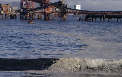 Investigadores de la UdeC realizan muestreo en bahía de Coronel para indagar posible contaminación