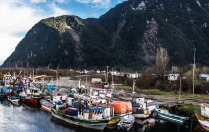 Taller aborda aplicación de enfoque ecosistémico en pesquería de sardina austral