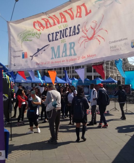 Centro COPAS llevará a cabo una serie de actividades durante el Mes del Mar