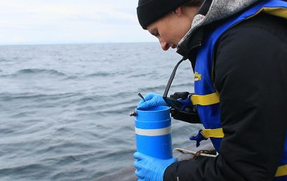 Investigadora de COPAS Coastal lidera primer estudio con gliders con hidrófonos en Latinoamérica para examinar la distribución de las ballenas azul y sei en la Patagonia chilena