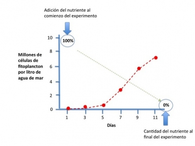 Grafico