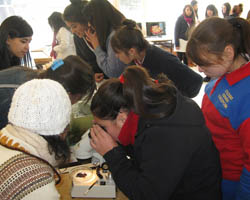 EXPLORA Feria Educativa del Oceano