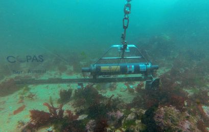 Estudio en el Mar Negro. La falta de oxígeno en los océanos cambiaría su biodiversidad