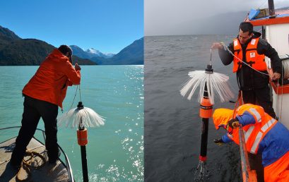 Mediante imágenes satelitales identifican FAN por microalgas del género Karenia