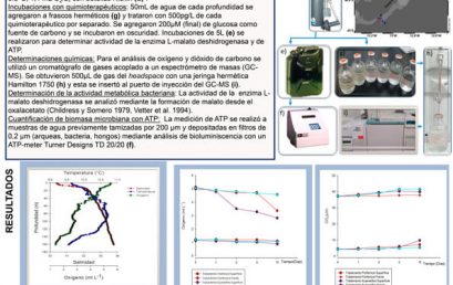 Científicos advierten sobre efectos de la disminución de oxígeno en los océanos