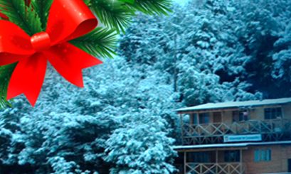 Feliz Navidad y Año 2018