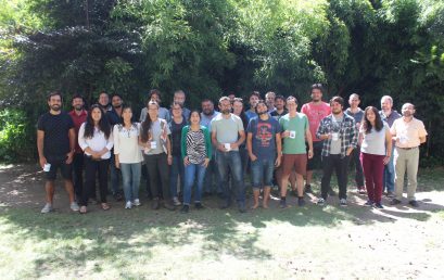 «Austral Summer Institute» de la UdeC finaliza con éxito