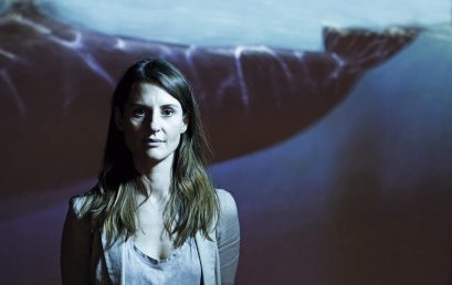 Siguiendo el canto de las ballenas