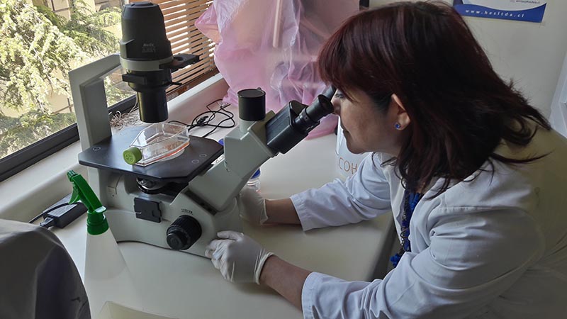 Región del Biobío contará con primer Laboratorio de Detección de Toxinas Marinas