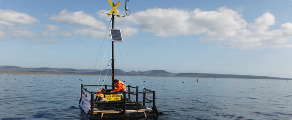 Balsa CEAZA-Invertec en Tongoy: Colaboración ciencia-empresa beneficia el desarrollo sostenible del entorno