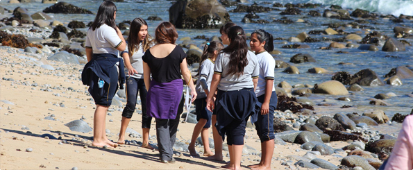 Estudiantes de Laja y Pemuco visitaron la Estación de Biología Marina Estudiantes de Laja y Pemuco visitaron la Estación de Biología Marina