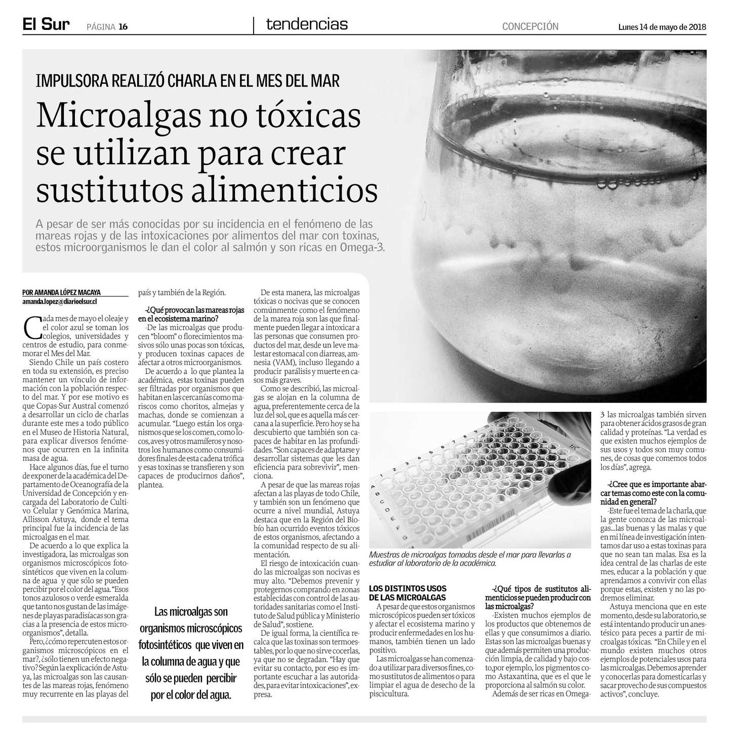 Microalgas no tóxicas se utilizan para crear sustitutos alimenticios