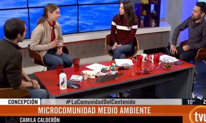 ¿Por qué se han producido los varamientos de cetáceos en Talcahuano?