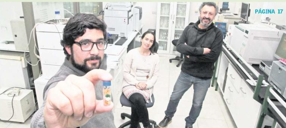 Microplásticos: pequeñas partículas y un gran problema