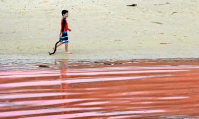 El cambio climático está aumentando las olas de calor marinas