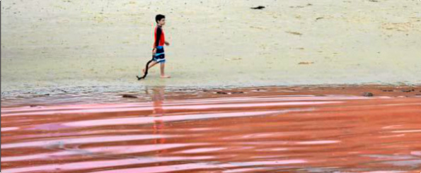 El cambio climático está aumentando las olas de calor marinas
