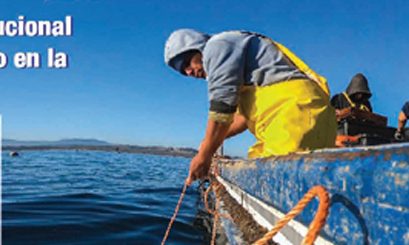 Proyecto «Fortalecimiento de la capacidad de adaptación en el sector pesquero y acuícola chileno al cambio climático»