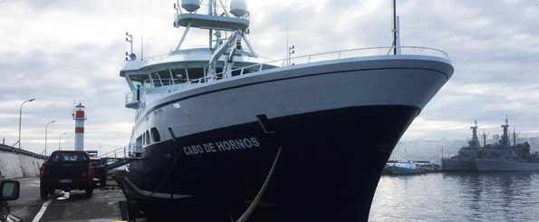 Buque “Cabo de Hornos” y científicos de la universidad de Concepción concluyeron con éxito expedición Taitao