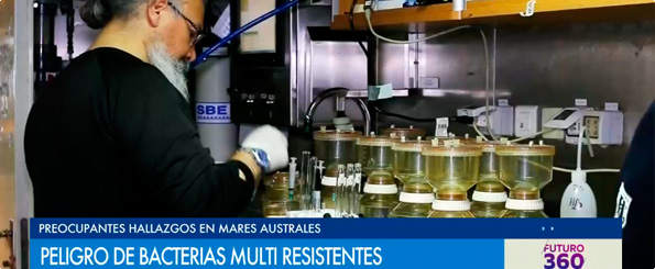 Peligro de bacterias multirresistentes