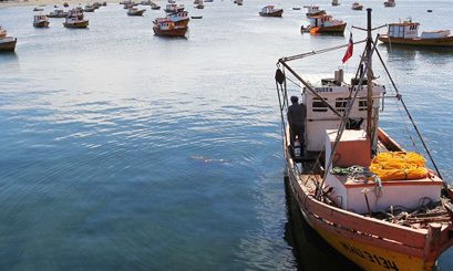Estudio alerta sobre expansión de la marea roja en costas chilenas