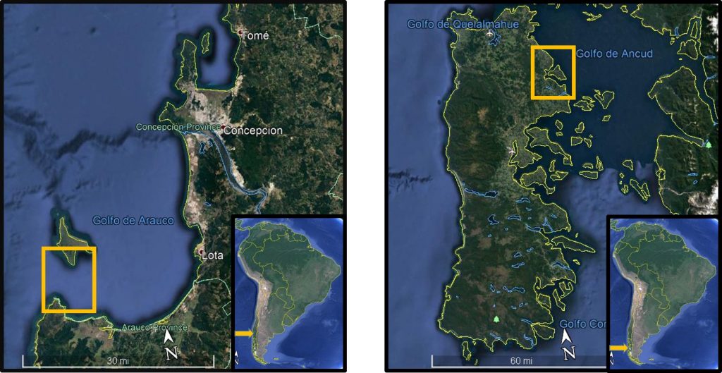 Consecuencias del uso de pesticidas en el cultivo de salmones en Chile Consecuencias del uso de pesticidas en el cultivo de salmones en Chile