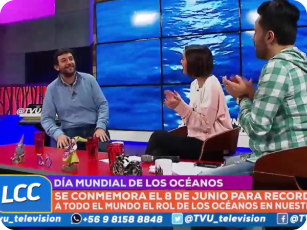 Día mundial de los océanos: la importancia de erradicar el plástico Día mundial de los océanos: la importancia de erradicar el plástico