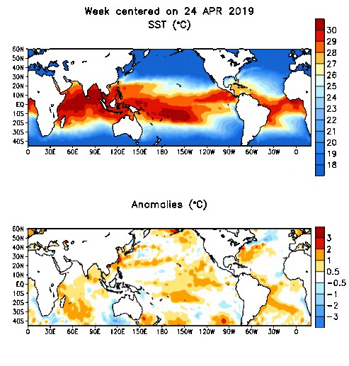Fenómeno El Niño: Débil y sin grandes efectos en 2019 Fenómeno El Niño: Débil y sin grandes efectos en 2019