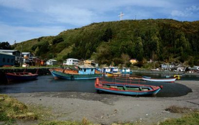 Omare: El observatorio que ofrecerá información en línea sobre el Seno de Reloncaví Omare: El observatorio que ofrecerá información en línea sobre el Seno de Reloncaví