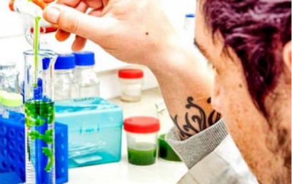 UdeC es líder nacional en Oceanografía, Ecología e Ingeniería Química UdeC es líder nacional en Oceanografía, Ecología e Ingeniería Química