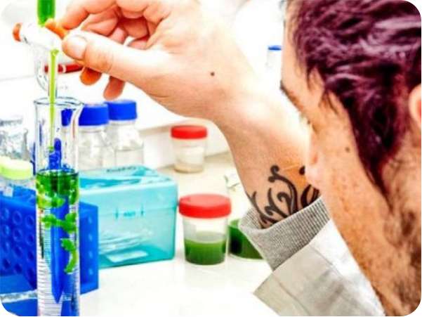 UdeC es líder nacional en Oceanografía, Ecología e Ingeniería Química