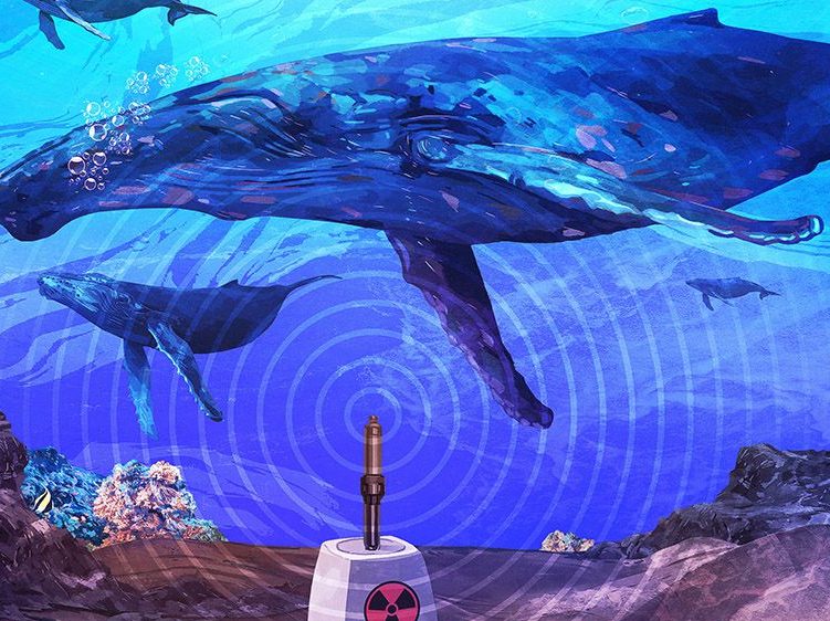 El sistema de alerta nuclear que descubrió el refugio secreto de las ballenas