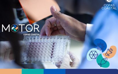 Centro COPAS Coastal lanza innovador plan de transferencia de conocimiento y tecnología en ciencias del mar.